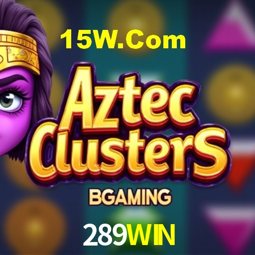 Interface do App 289WIN