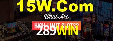 Premium Interface 289WIN