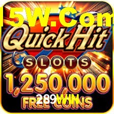 289WIN App Interface
